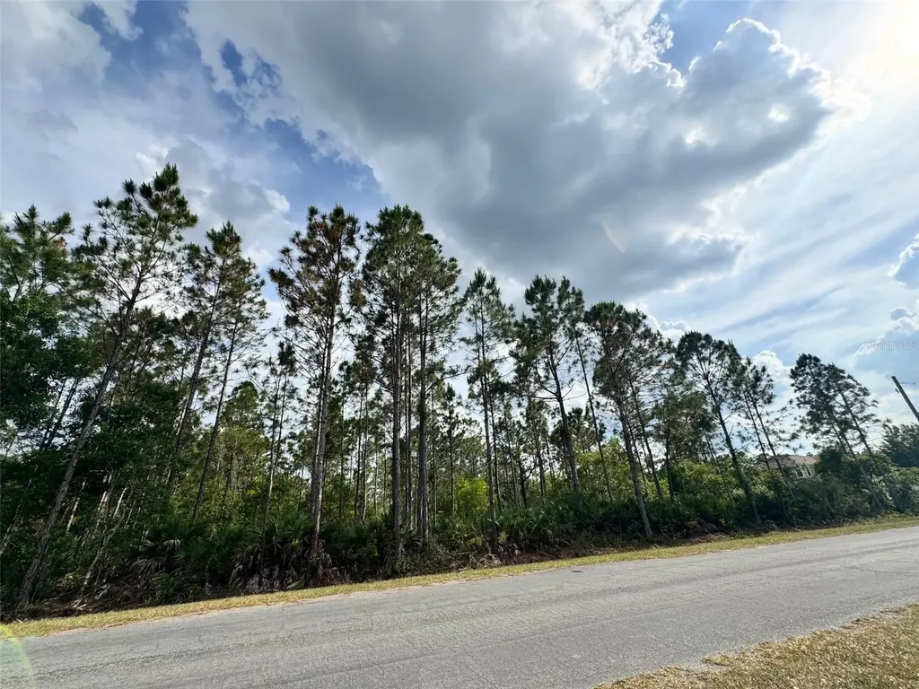 00 Sodbury Street Orlando FL 32833