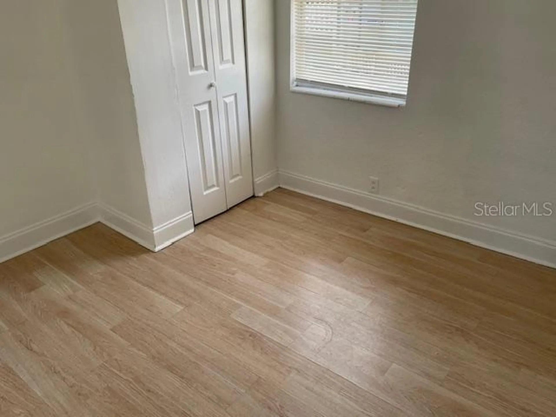 3411 N 13th Street Tampa FL 33605