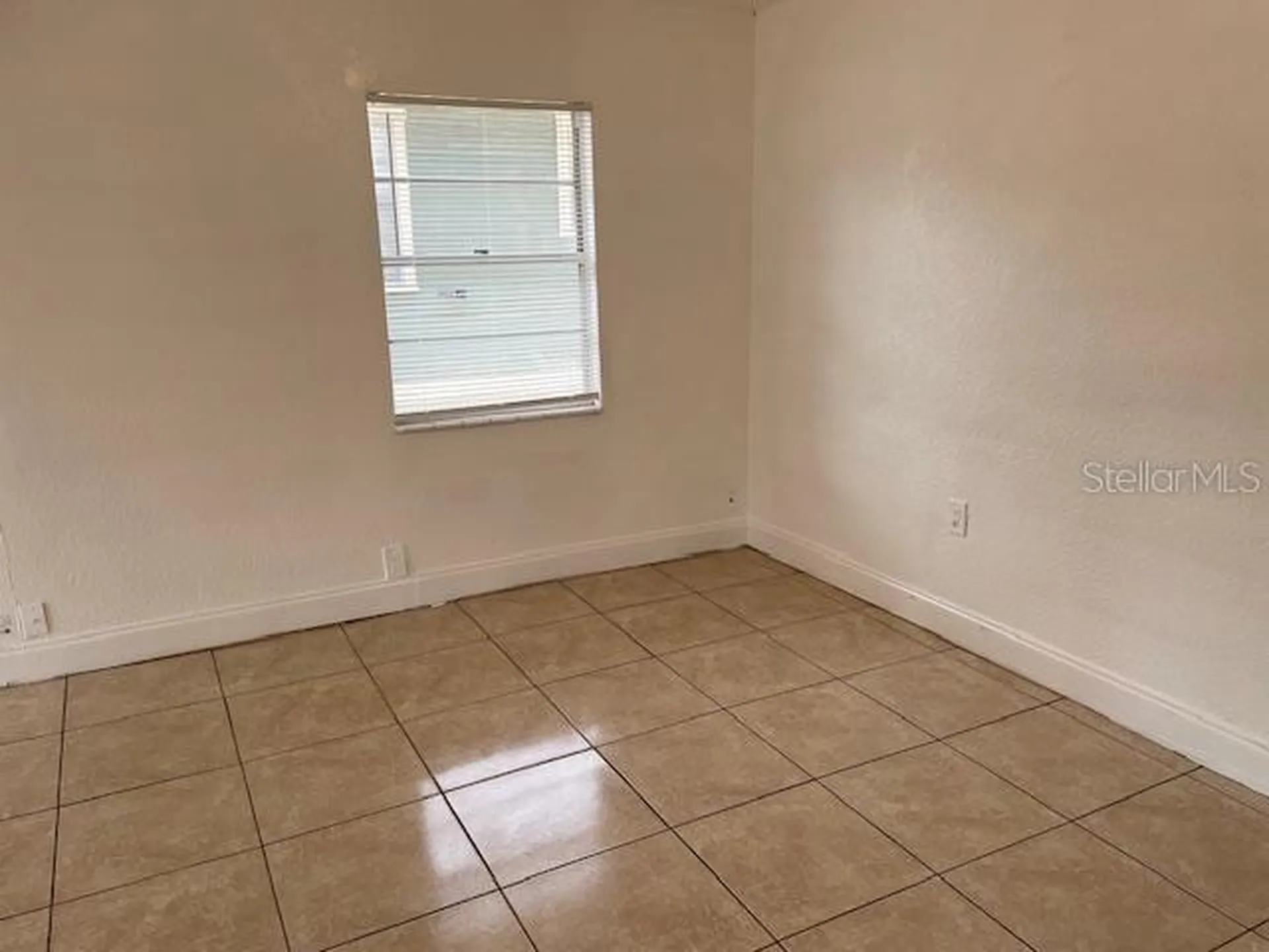 3411 N 13th Street Tampa FL 33605