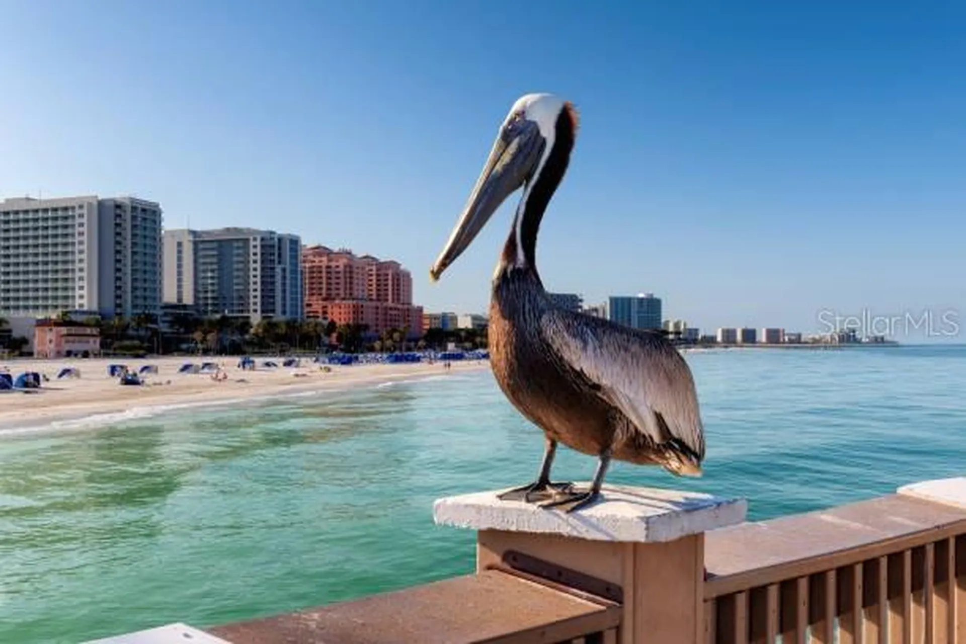 119 Florida Shores Boulevard Daytona Beach FL 32118