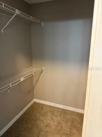8209 Olympia Court Longwood FL 32779