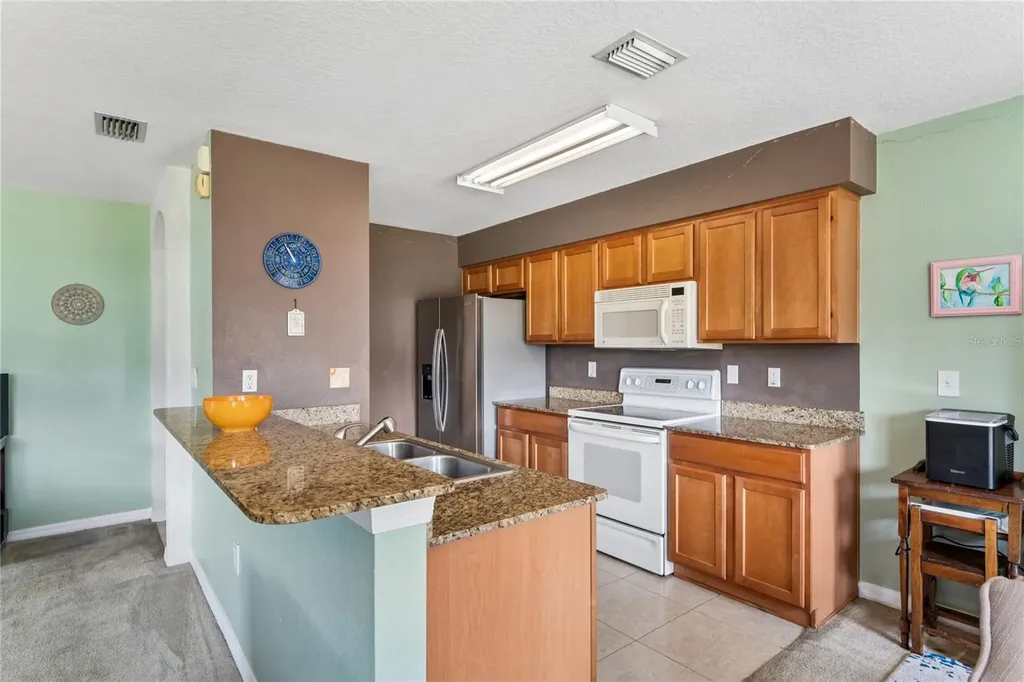 3533 Cardinal Feather Drive Land O Lakes FL 34638