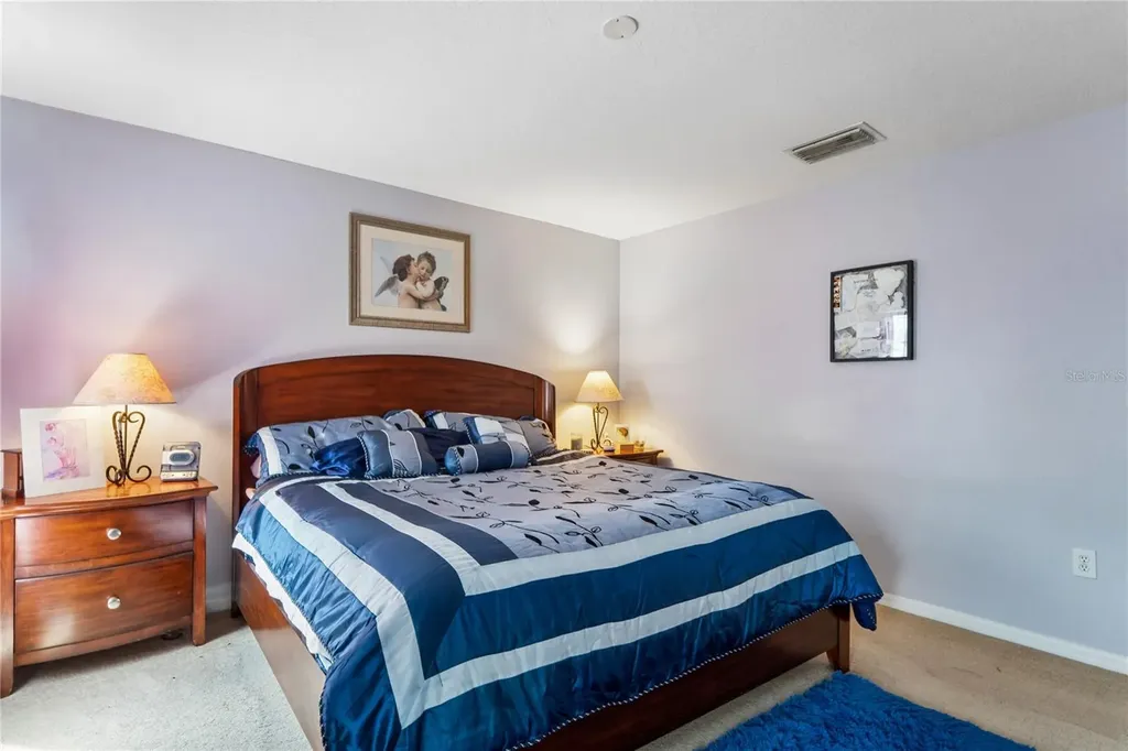 3533 Cardinal Feather Drive Land O Lakes FL 34638