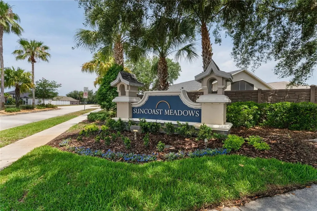 3533 Cardinal Feather Drive Land O Lakes FL 34638