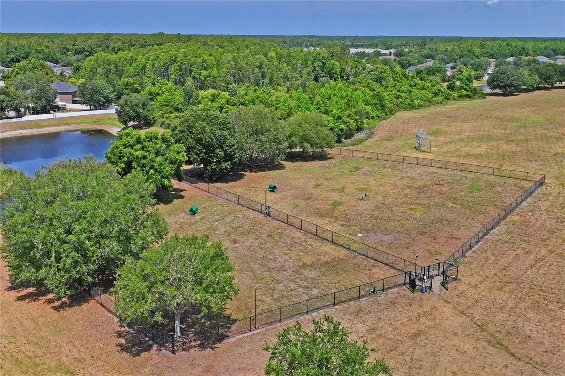 3533 Cardinal Feather Drive Land O Lakes FL 34638