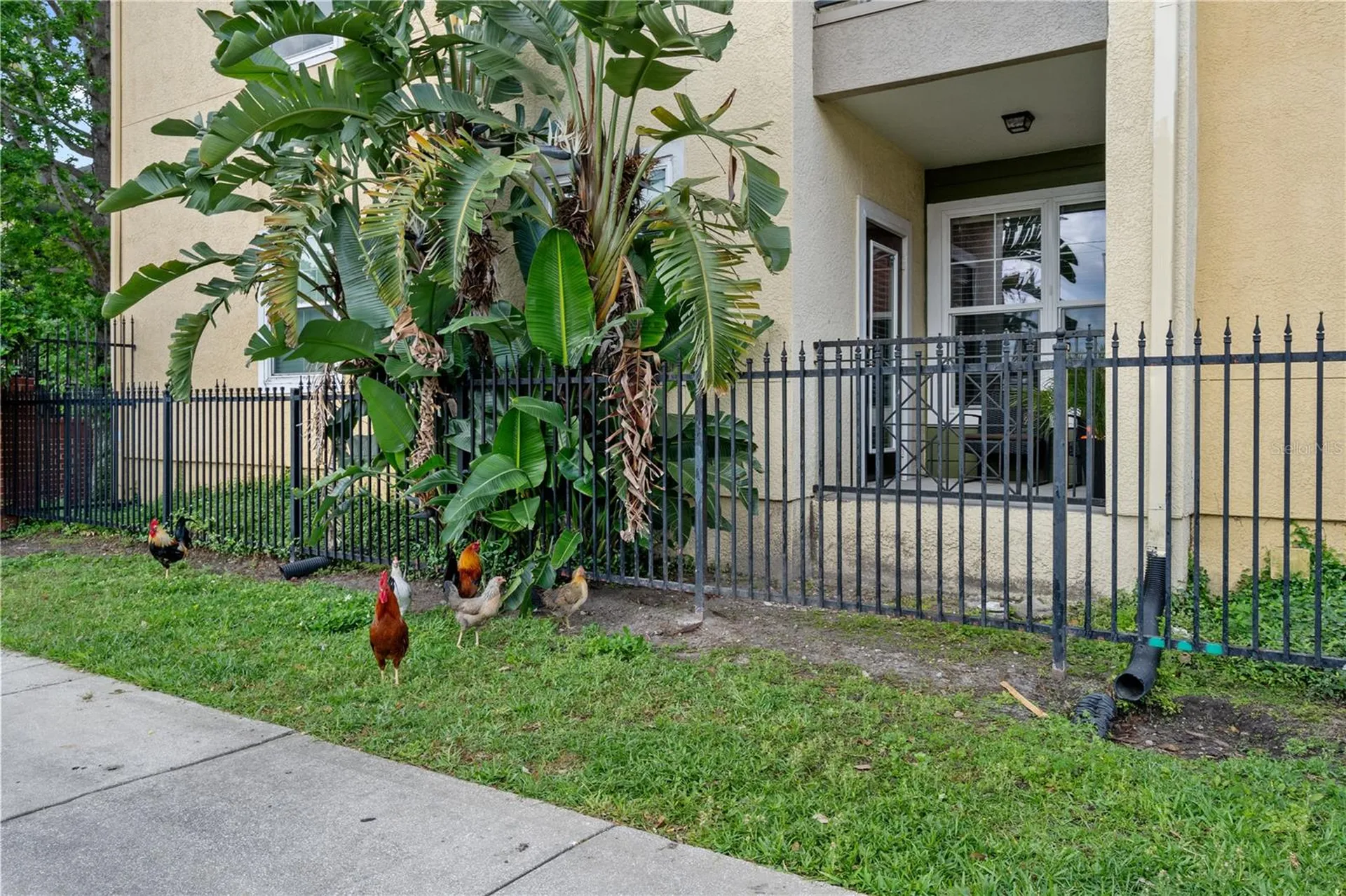 1810 E Palm Avenue Tampa FL 33605