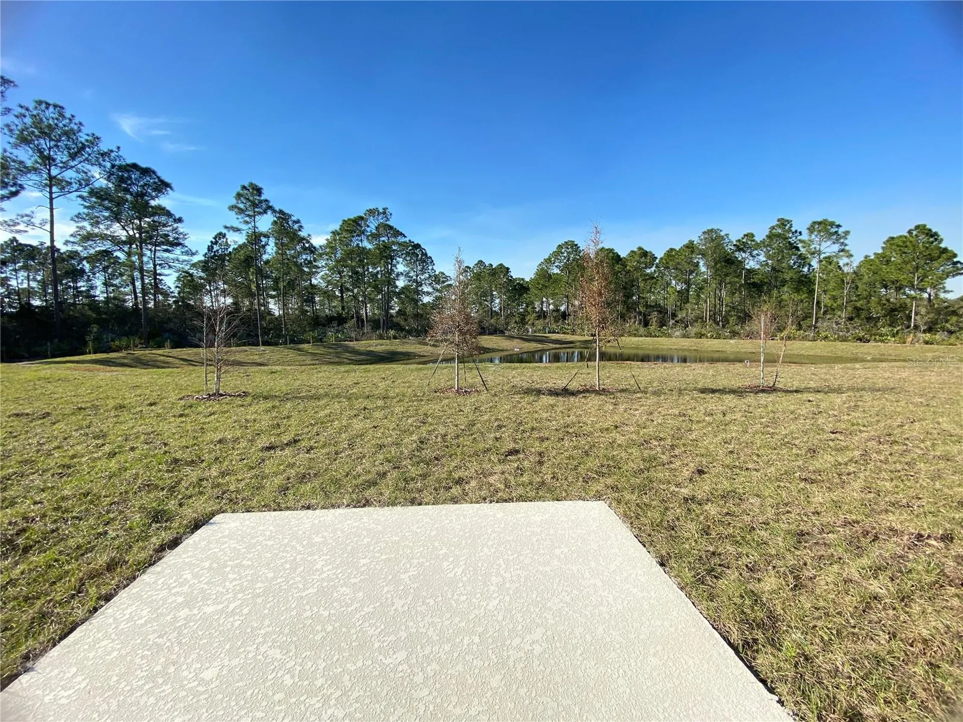 3947 Willowbrook Drive Edgewater FL 32141