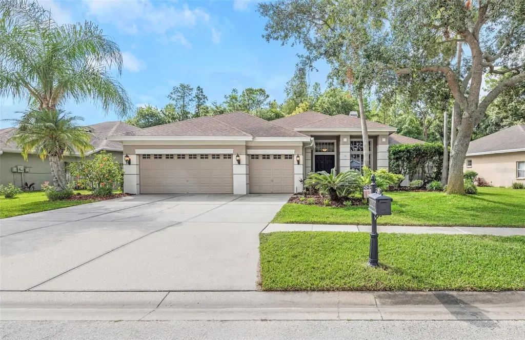 10326 Millport Drive Tampa FL 33626