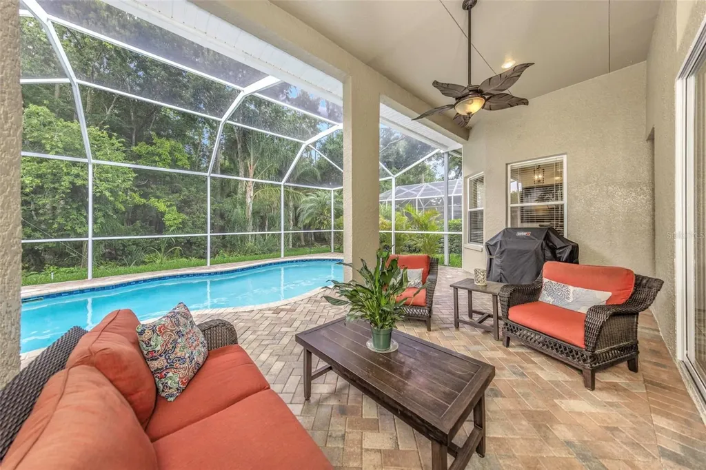 10326 Millport Drive Tampa FL 33626