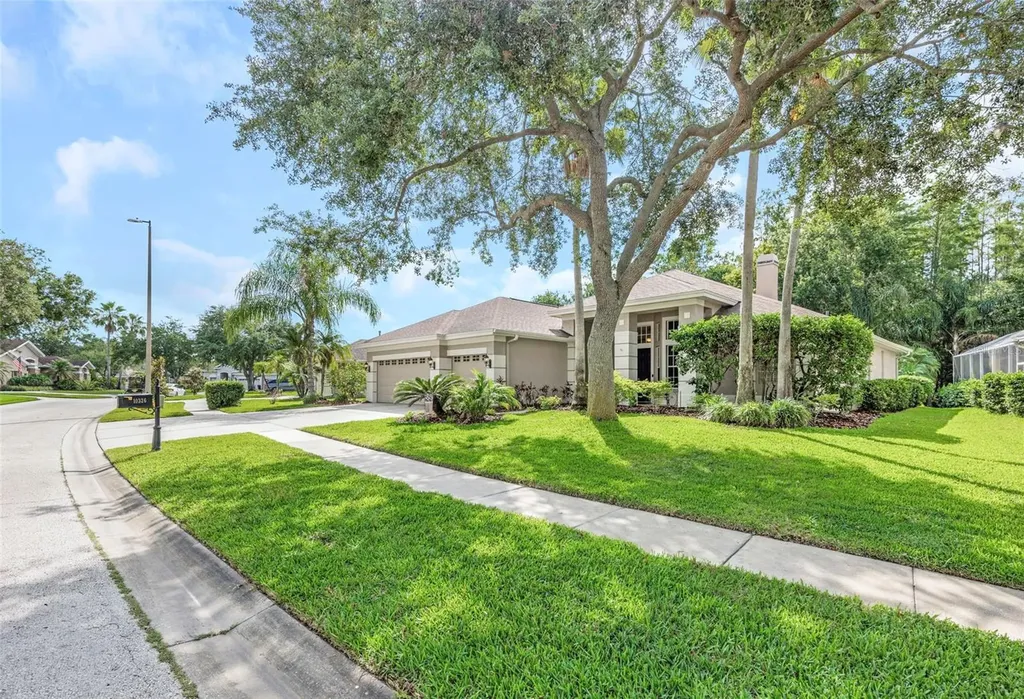 10326 Millport Drive Tampa FL 33626