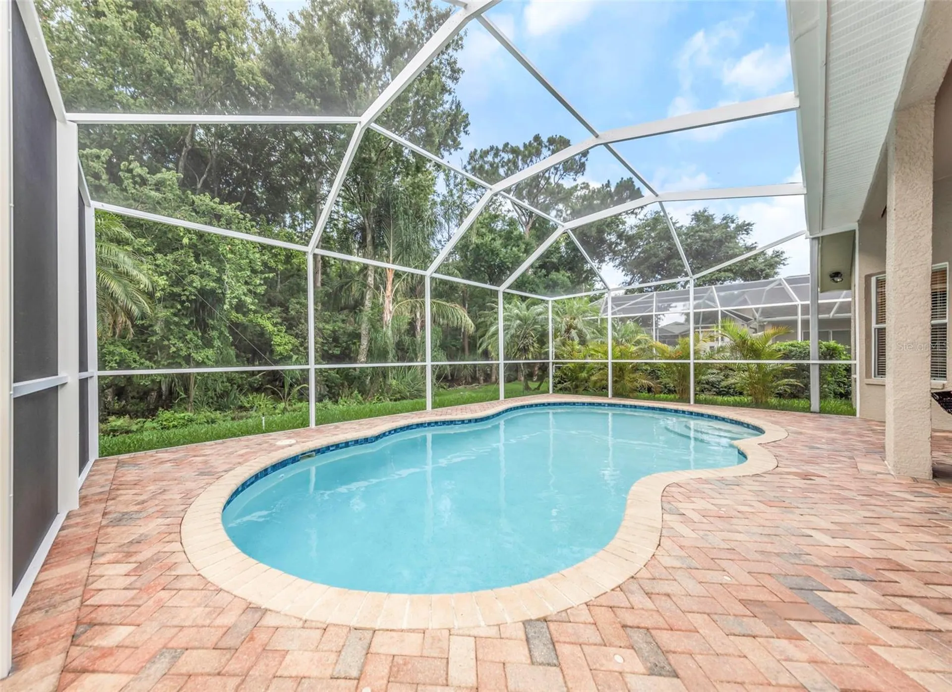10326 Millport Drive Tampa FL 33626