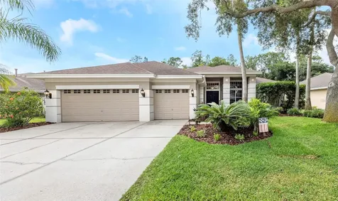 10326 Millport Drive Tampa FL 33626
