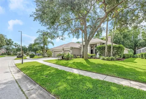 10326 Millport Drive Tampa FL 33626