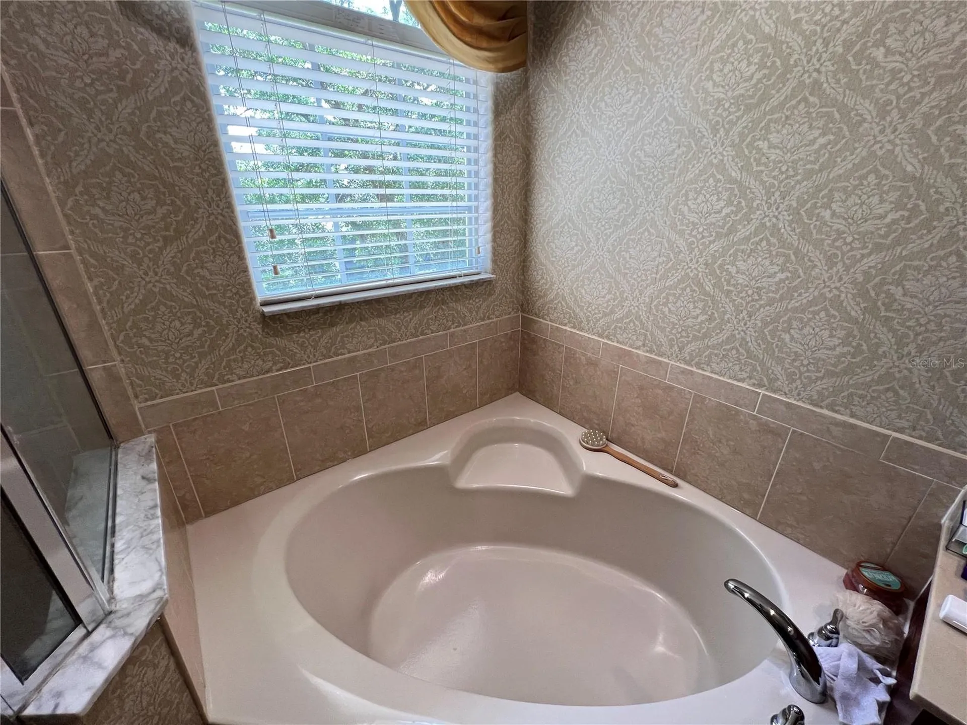 1607 Tail Feather Drive Kissimmee FL 34746