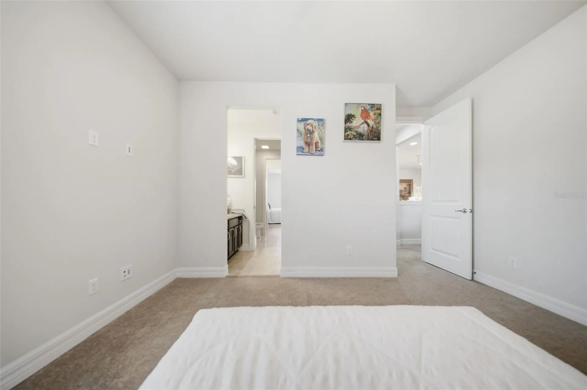 10902 Citron Oaks Drive Orlando FL 32836