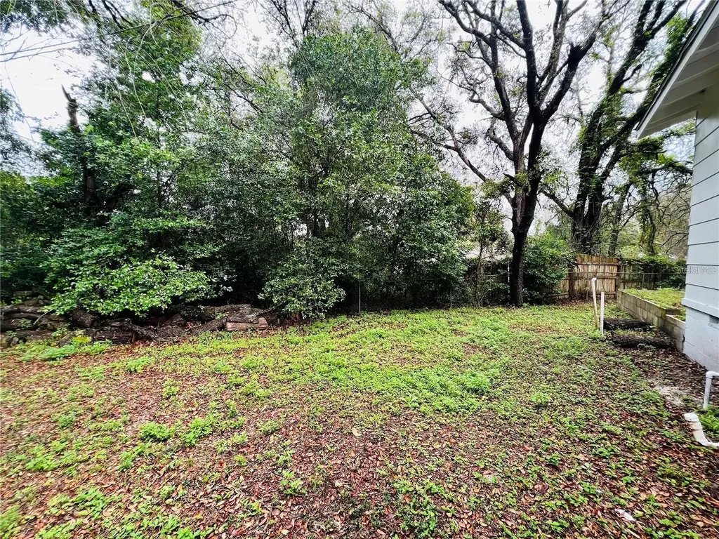 4103 Holly Hill Lady Lake FL 32159
