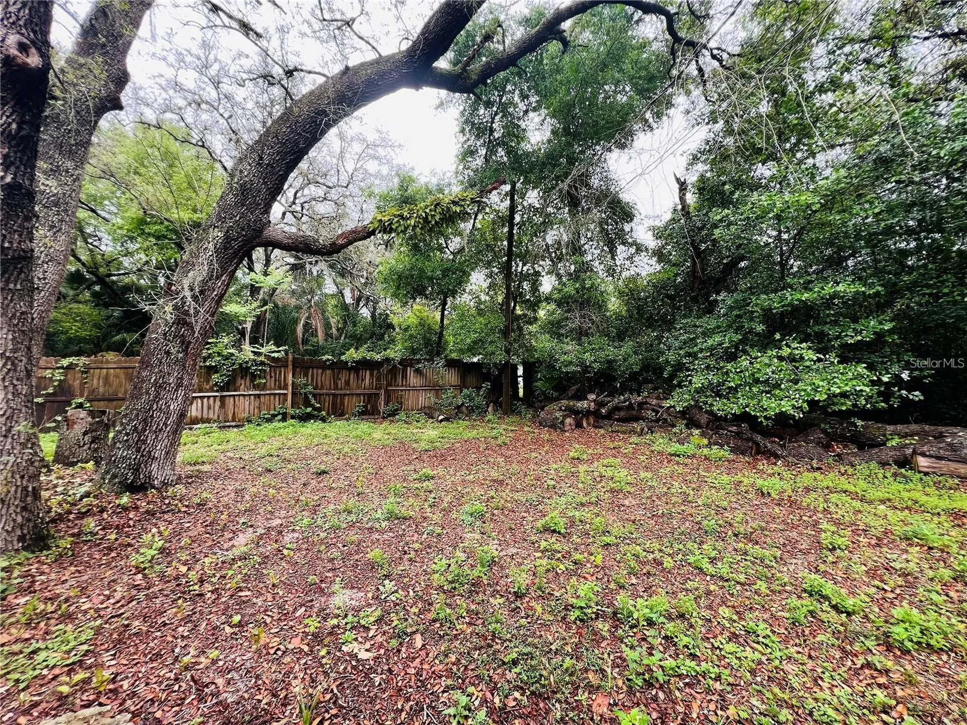 4103 Holly Hill Lady Lake FL 32159