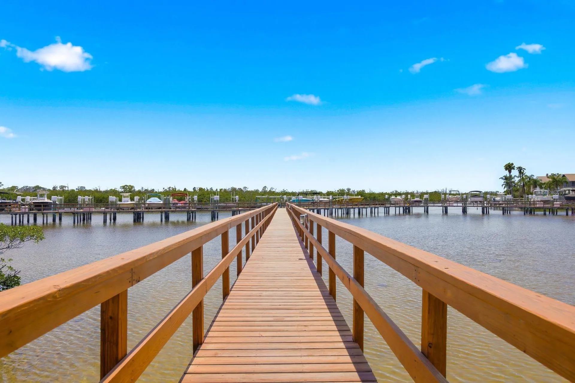 4516 Seagull Drive New Port Richey FL 34652