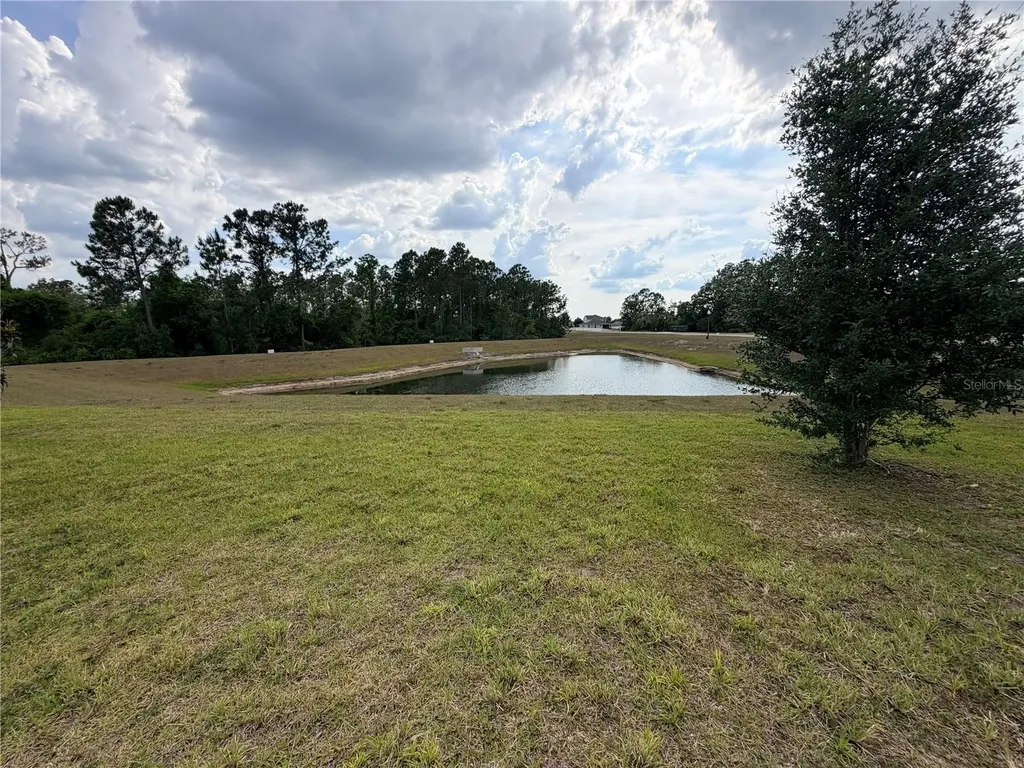 16419 Glassy Loch Loop Clermont FL 34714
