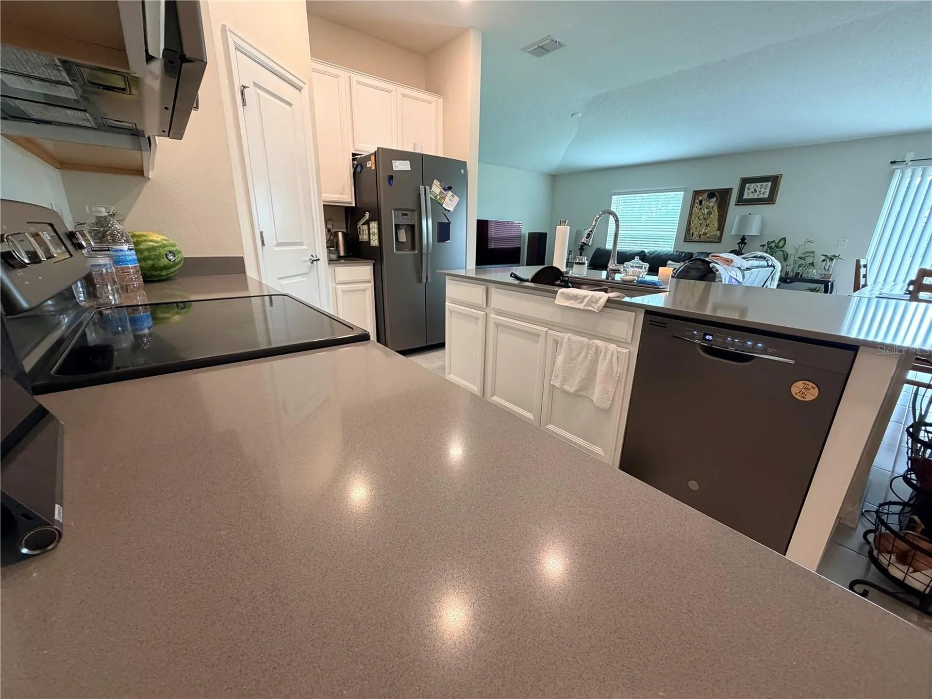 16419 Glassy Loch Loop Clermont FL 34714
