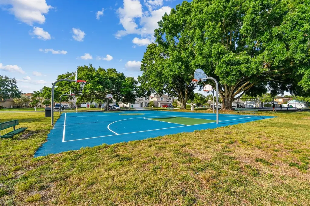 4723 Wessex Way Land O Lakes FL 34639