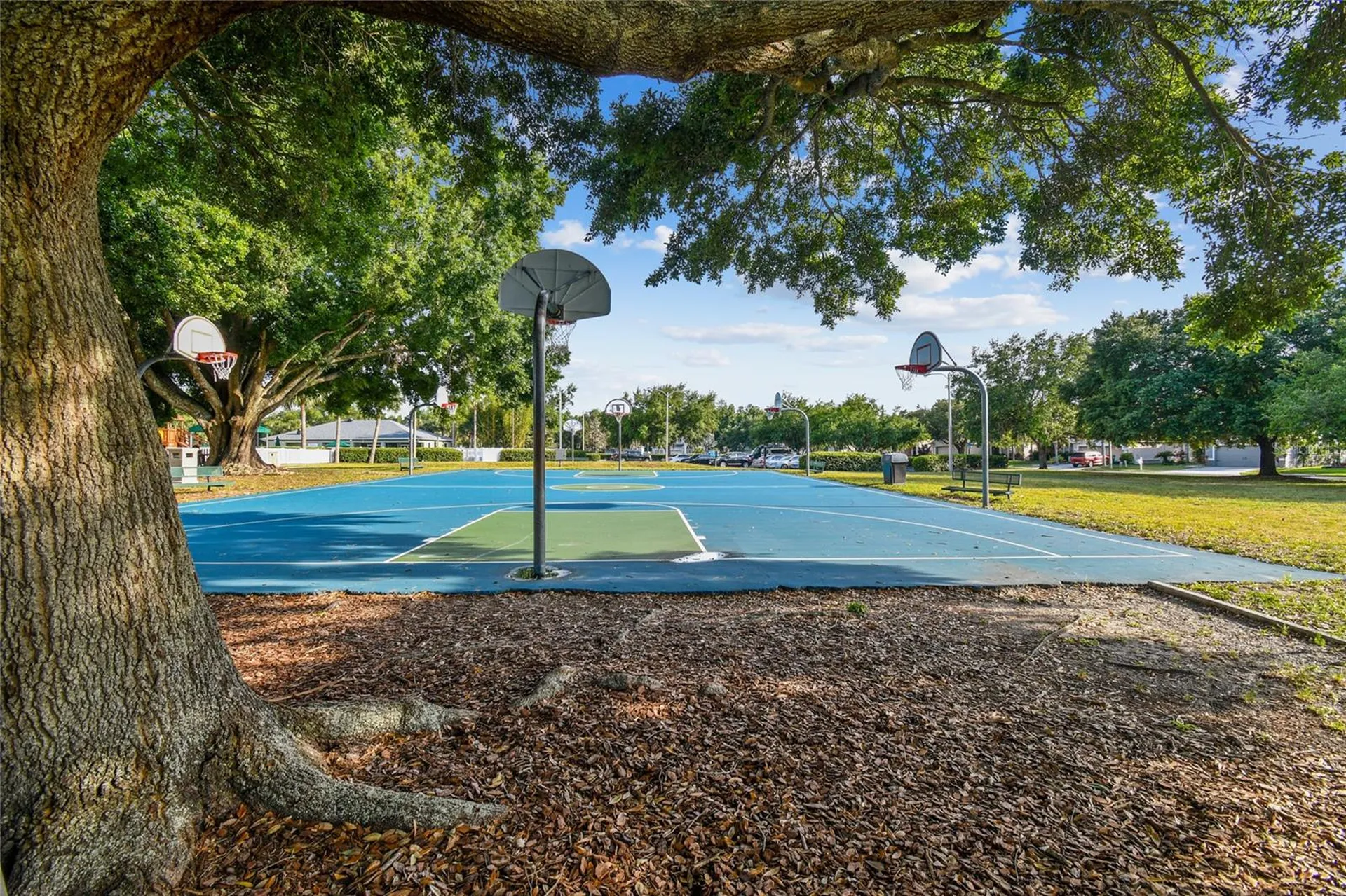 4723 Wessex Way Land O Lakes FL 34639