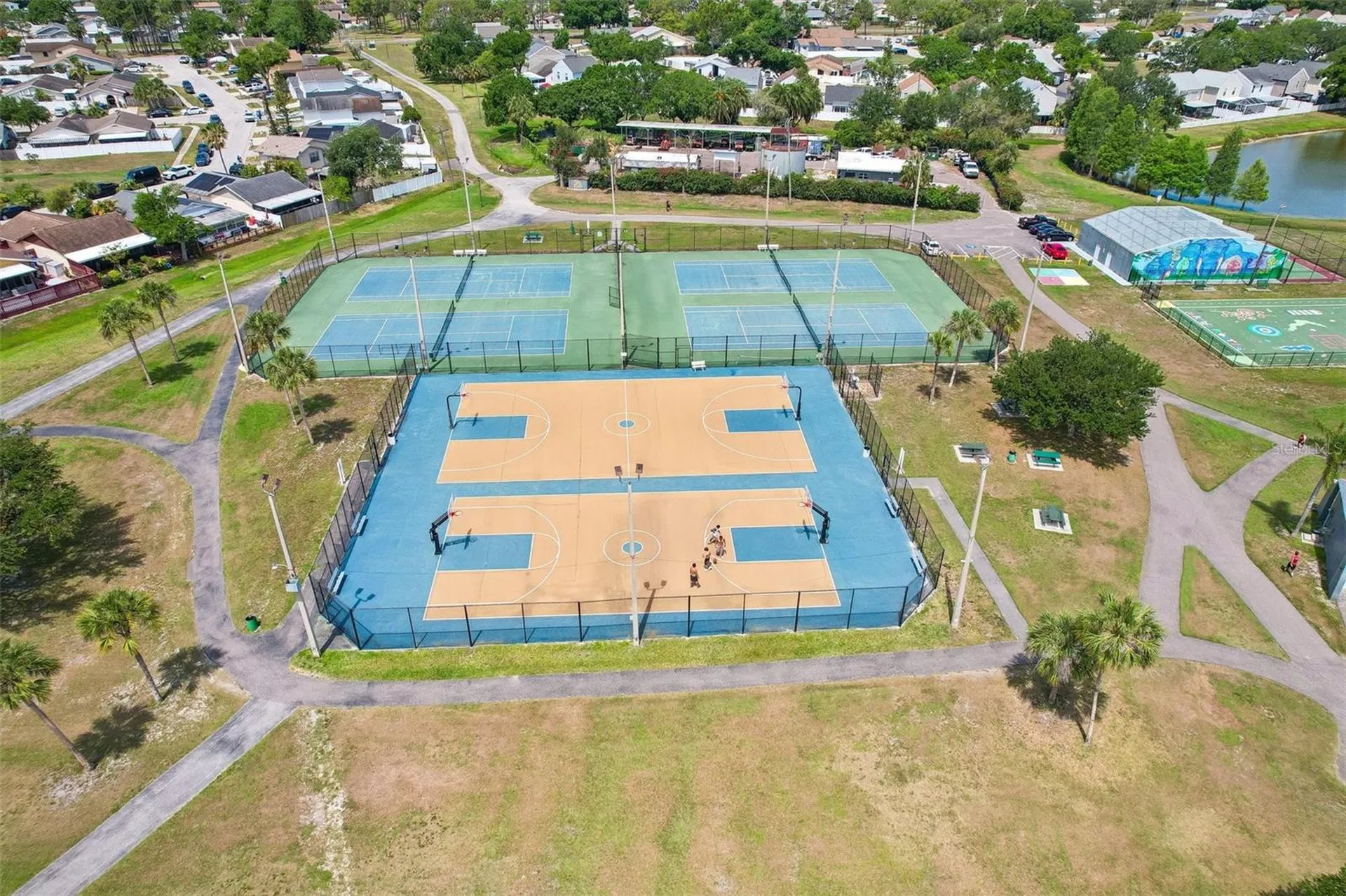 4828 Grove Point Drive Tampa FL 33624