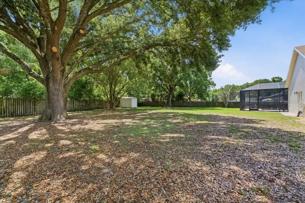 3902 Meadowlark Court Land O Lakes FL 34639
