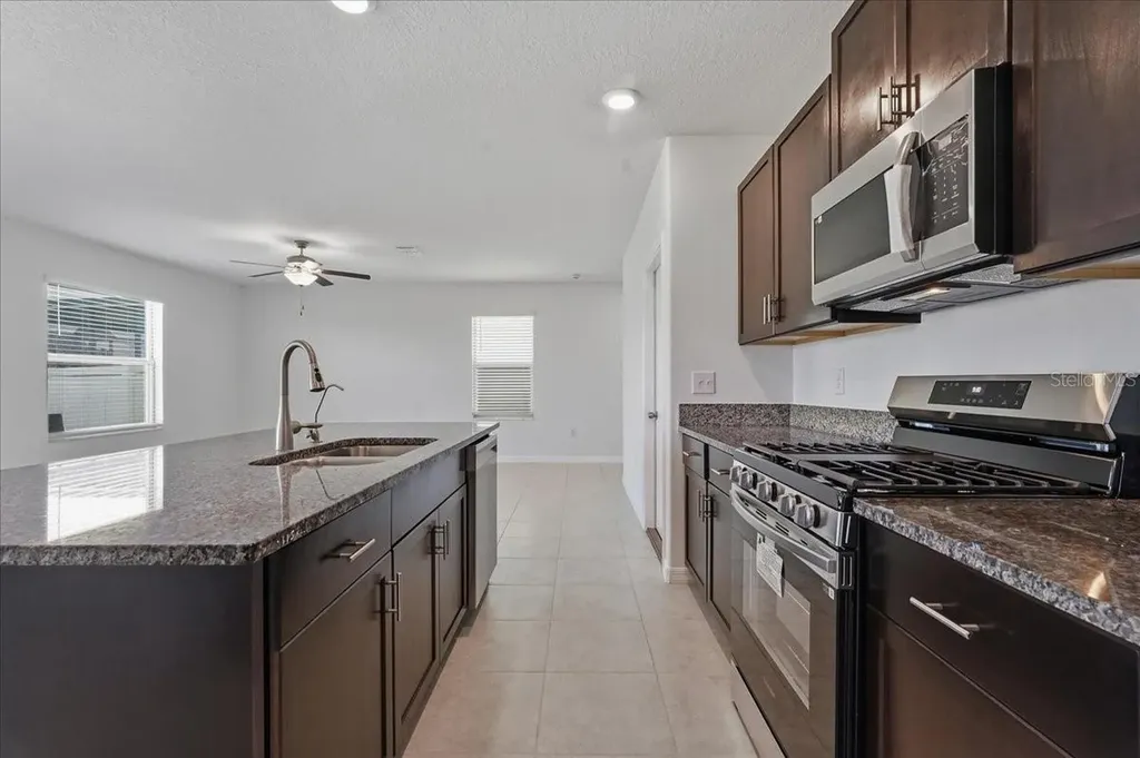 5224 White Chicory Drive Apollo Beach FL 33572