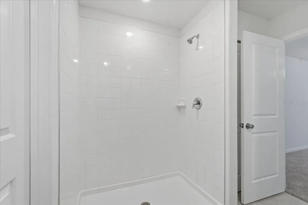 5224 White Chicory Drive Apollo Beach FL 33572