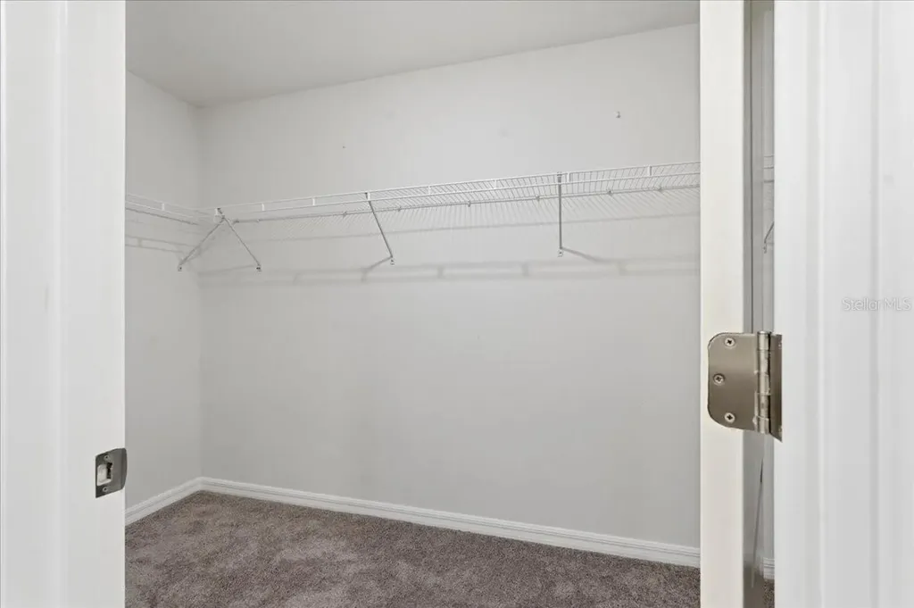 5224 White Chicory Drive Apollo Beach FL 33572