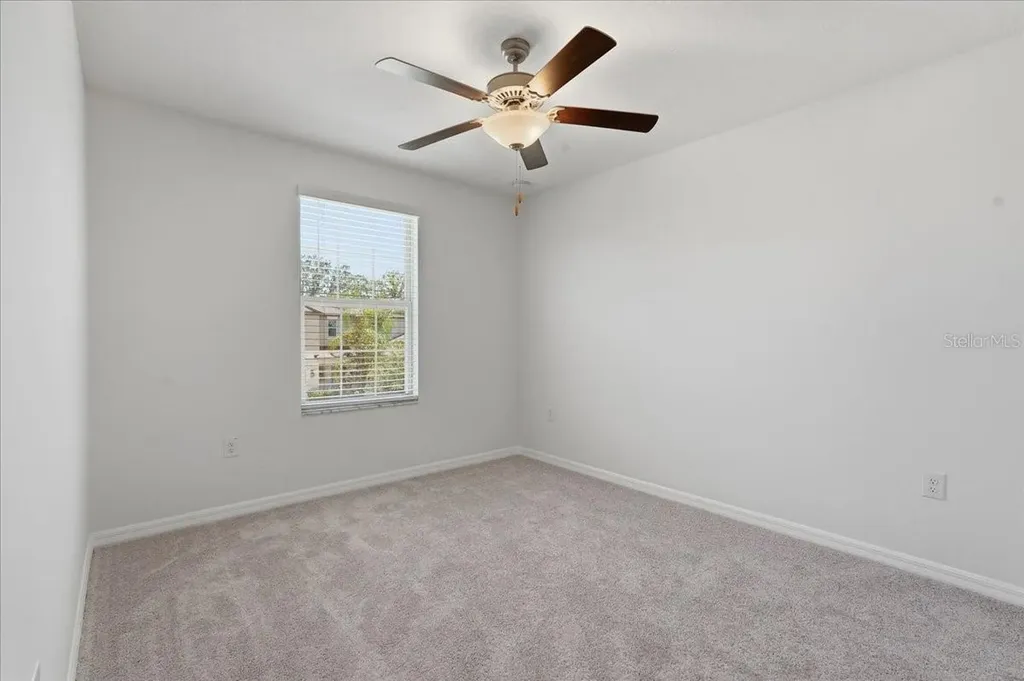 5224 White Chicory Drive Apollo Beach FL 33572