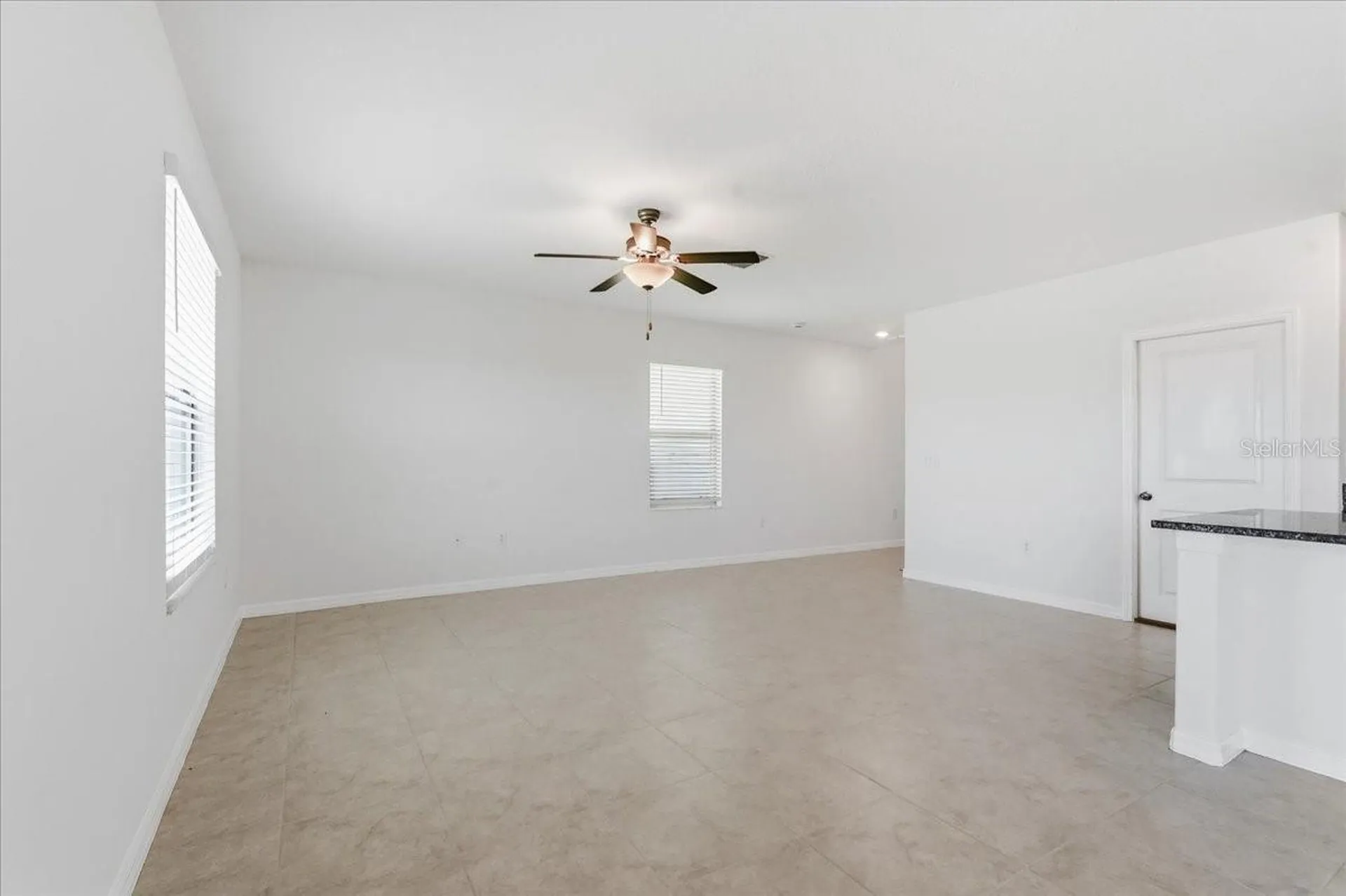 5224 White Chicory Drive Apollo Beach FL 33572