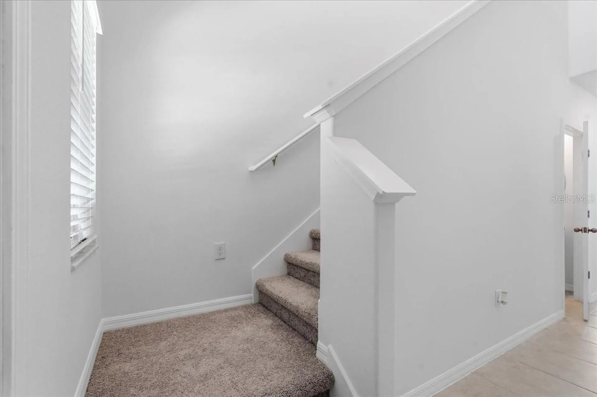 5224 White Chicory Drive Apollo Beach FL 33572