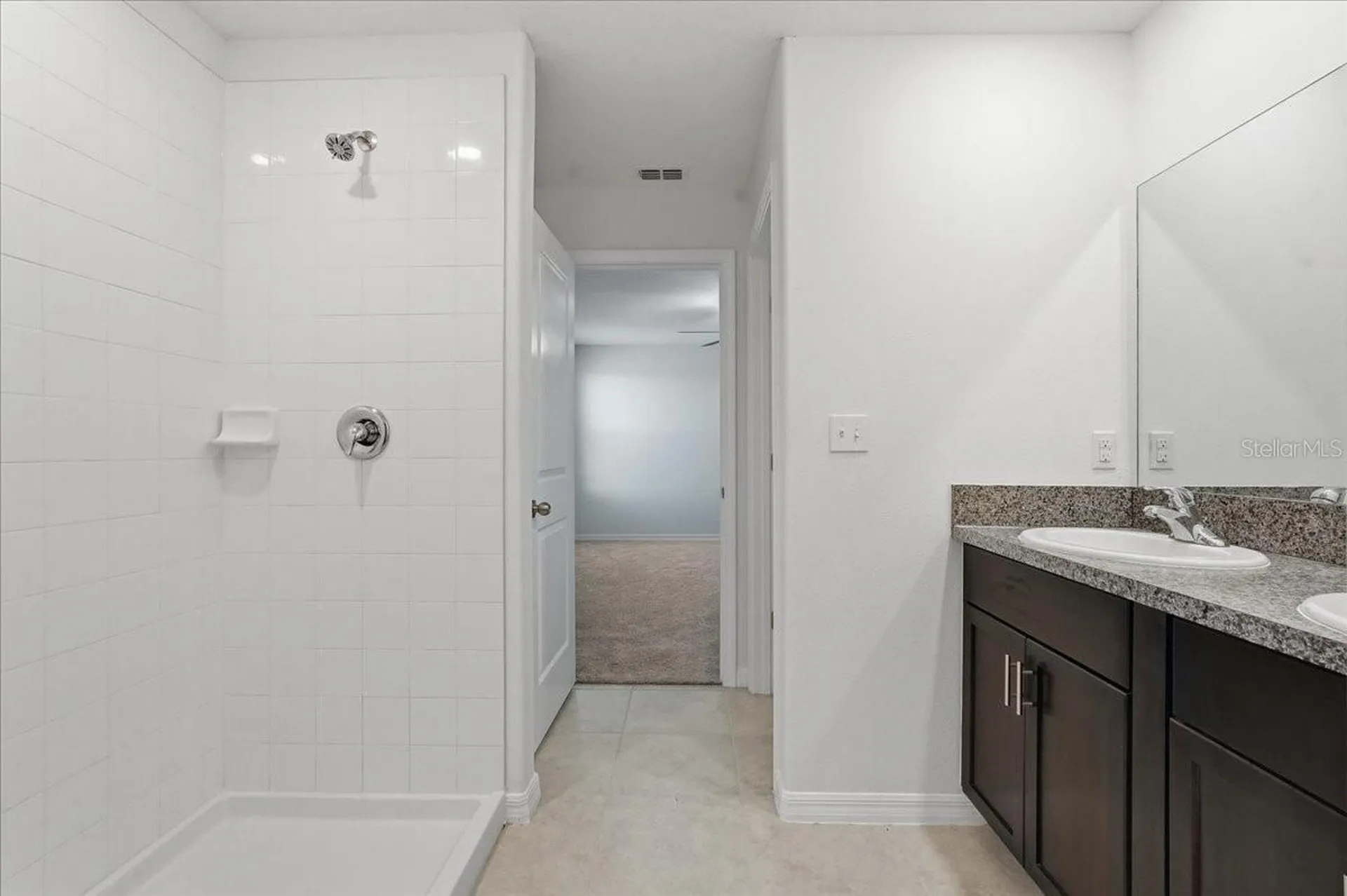 5224 White Chicory Drive Apollo Beach FL 33572