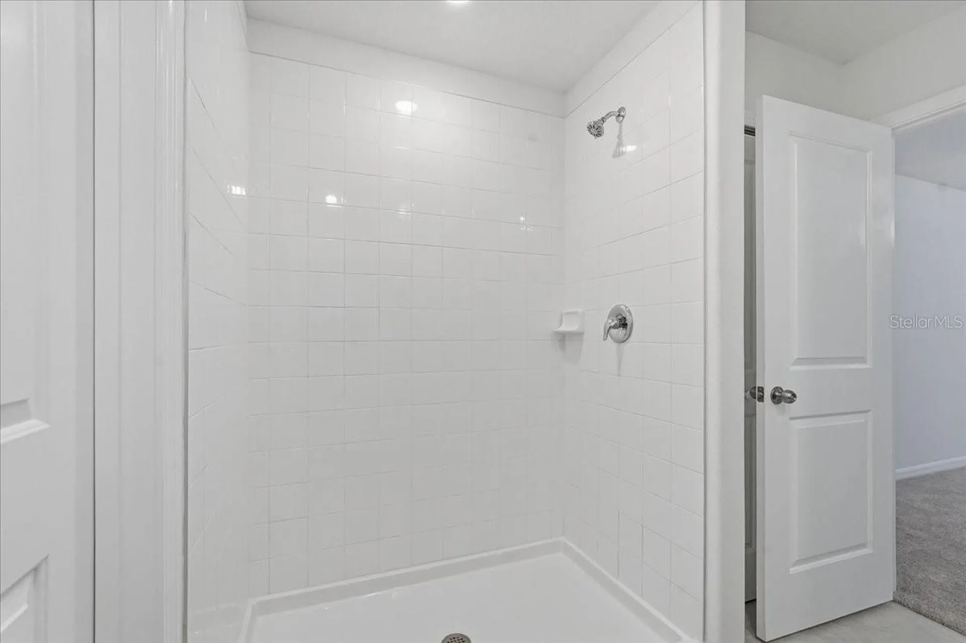 5224 White Chicory Drive Apollo Beach FL 33572