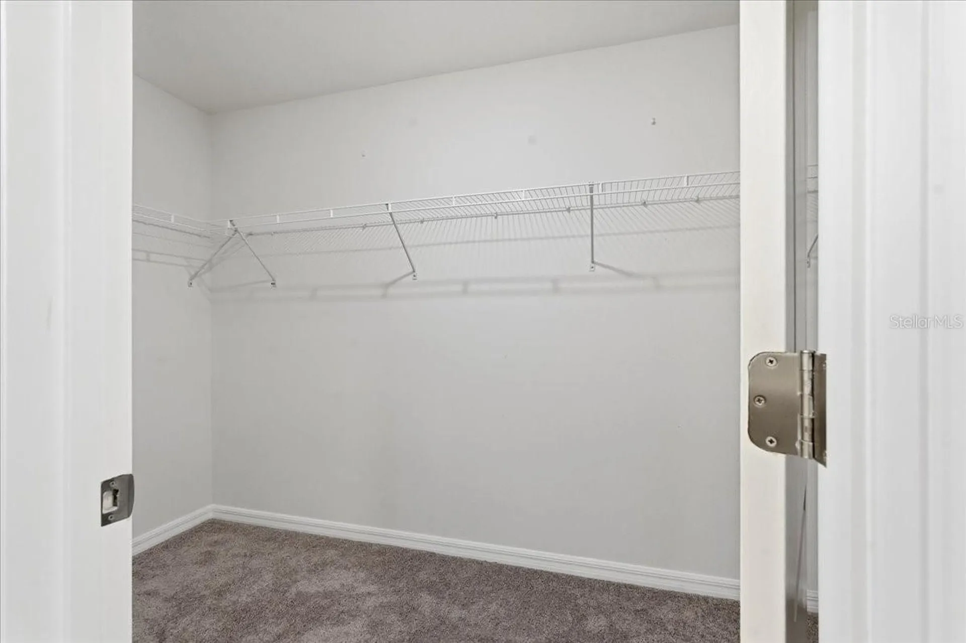 5224 White Chicory Drive Apollo Beach FL 33572