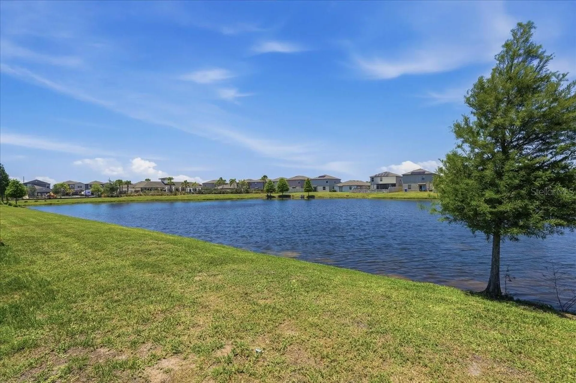 5224 White Chicory Drive Apollo Beach FL 33572