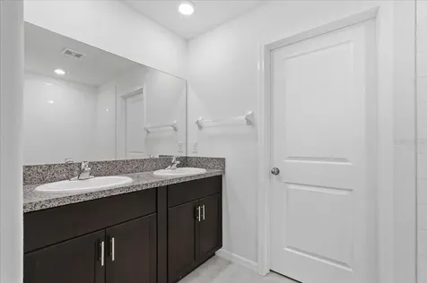 5224 White Chicory Drive Apollo Beach FL 33572