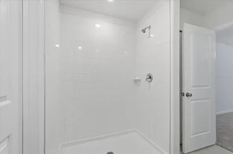 5224 White Chicory Drive Apollo Beach FL 33572