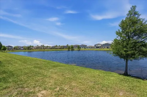 5224 White Chicory Drive Apollo Beach FL 33572