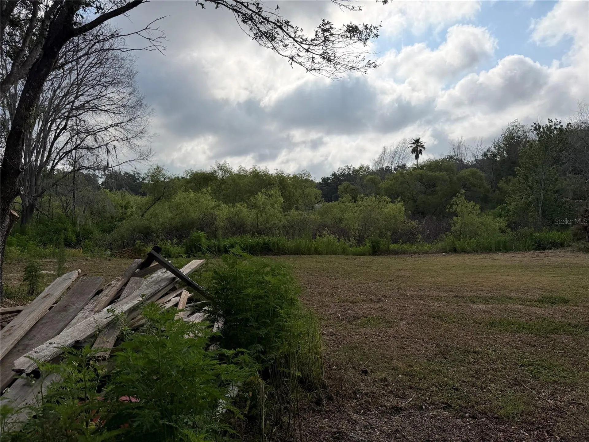 8336 Hamster Drive Zephyrhills FL 33540