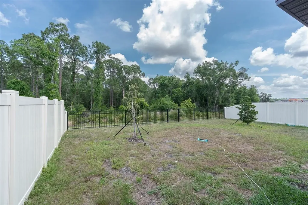 10155 Gentle Rain Drive Land O Lakes FL 34638