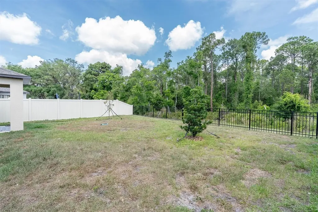 10155 Gentle Rain Drive Land O Lakes FL 34638