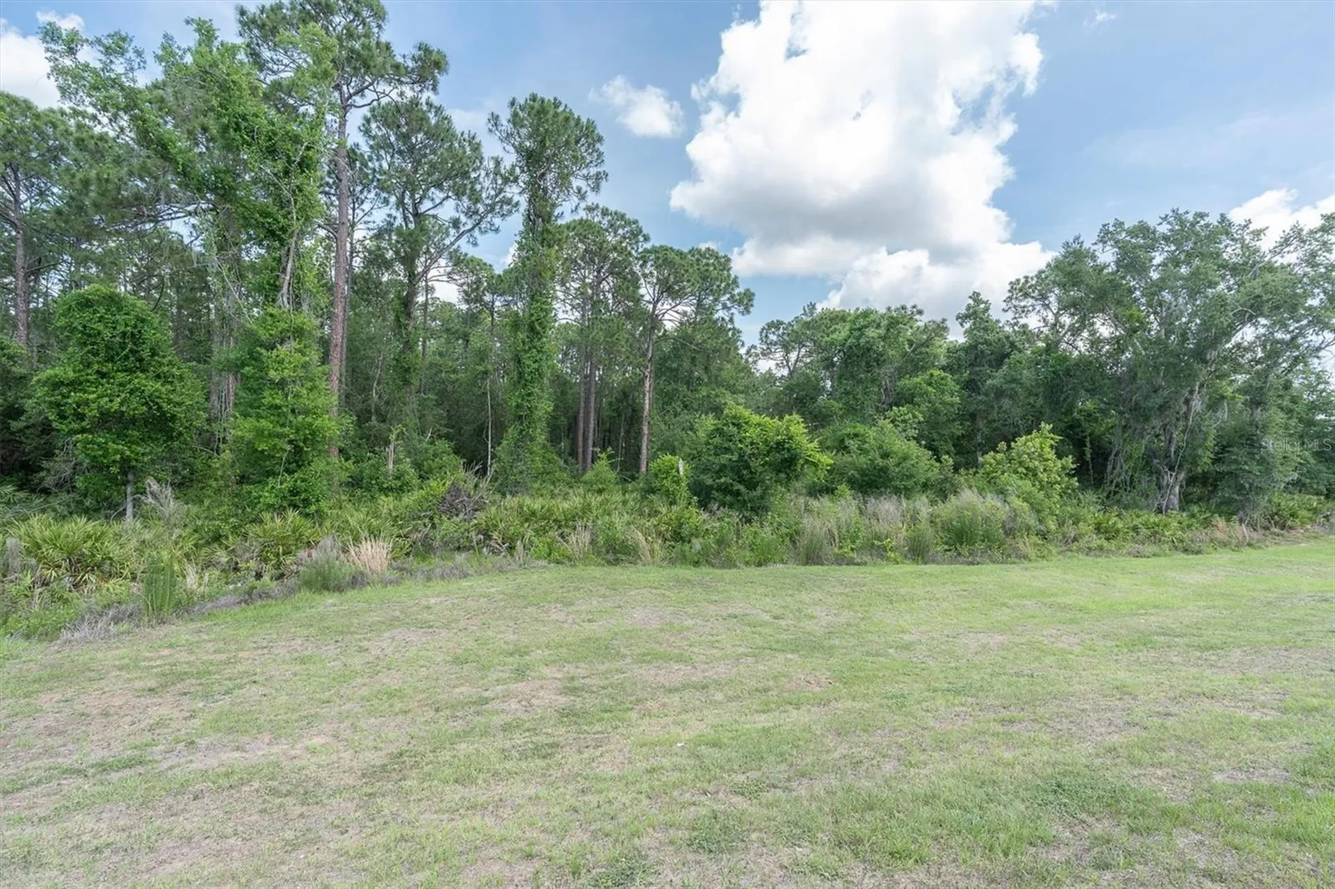 10155 Gentle Rain Drive Land O Lakes FL 34638
