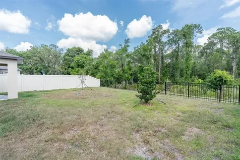 10155 Gentle Rain Drive Land O Lakes FL 34638