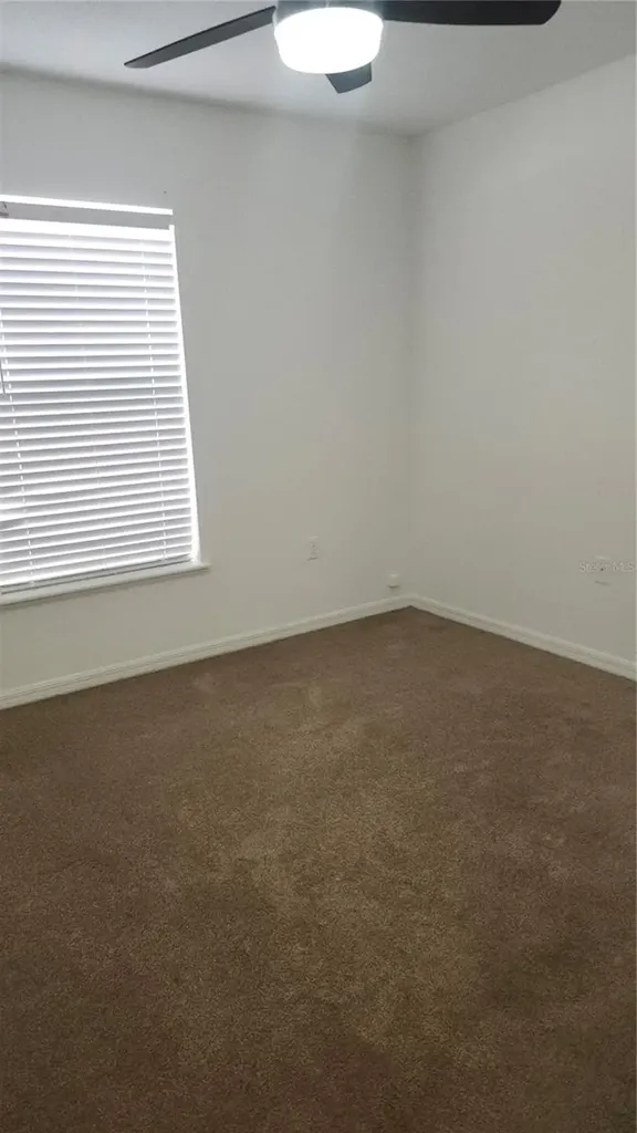 6535 Tabogi Trail Wesley Chapel FL 33544