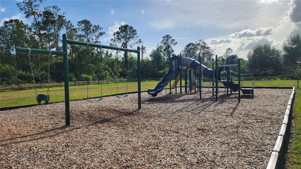14154 Shocklach Drive Winter Garden FL 34787