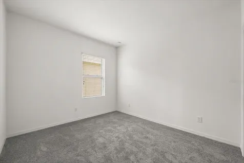 14154 Shocklach Drive Winter Garden FL 34787