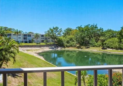948 Virginia Street Dunedin FL 34698